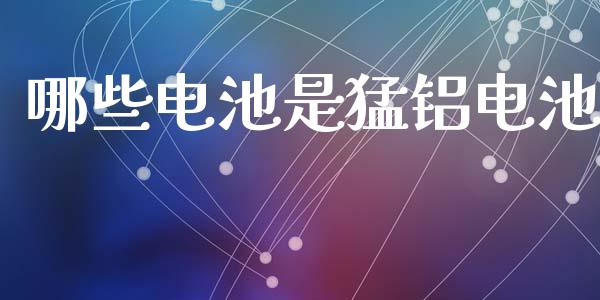 哪些电池是猛铝电池_https://wap.lcjysmgs.com_金融交易_第1张