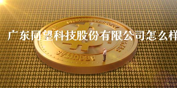 广东同望科技股份有限公司怎么样_https://wap.lcjysmgs.com_债券基金_第1张