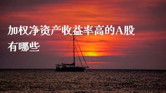 加权净资产收益率高的A股有哪些_https://wap.lcjysmgs.com_债券基金_第1张