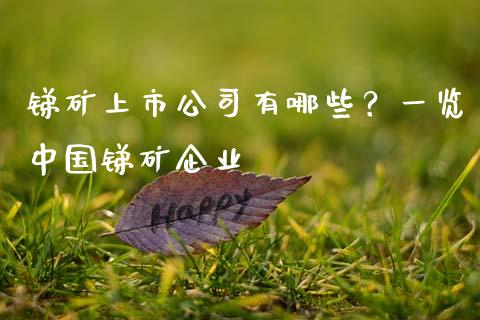 锑矿上市公司有哪些？一览中国锑矿企业_https://wap.lcjysmgs.com_原油期货_第1张