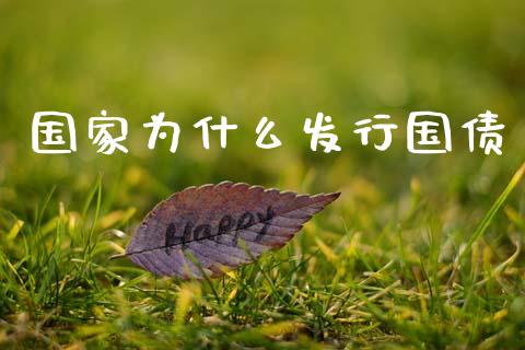 国家为什么发行国债_https://wap.lcjysmgs.com_元宇宙_第1张