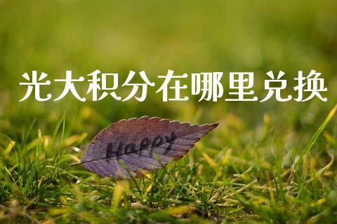 光大积分在哪里兑换_https://wap.lcjysmgs.com_原油期货_第1张