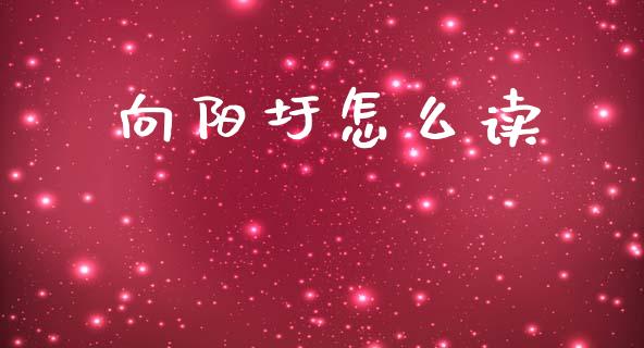 向阳圩怎么读_https://wap.lcjysmgs.com_金融交易_第1张