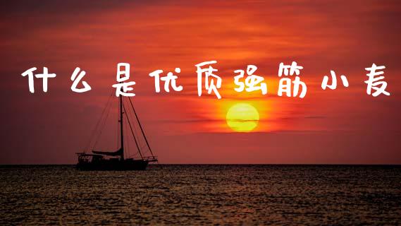 什么是优质强筋小麦_https://wap.lcjysmgs.com_原油期货_第1张