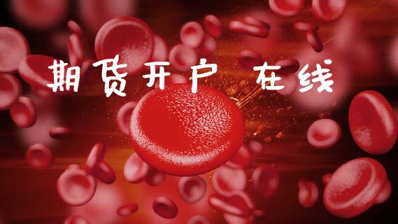 期货开户 在线_https://wap.lcjysmgs.com_金融交易_第1张