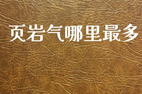 页岩气哪里最多_https://wap.lcjysmgs.com_原油期货_第1张
