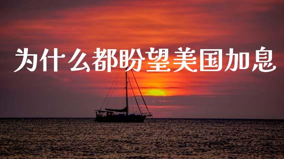 为什么都盼望美国加息_https://wap.lcjysmgs.com_债券基金_第1张