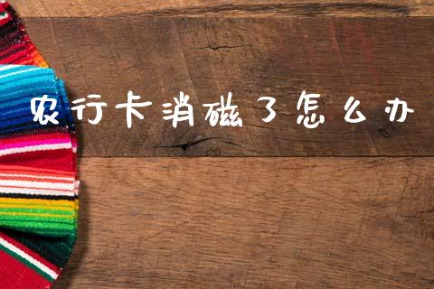 农行卡消磁了怎么办_https://wap.lcjysmgs.com_债券基金_第1张