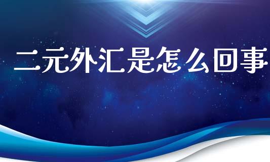 二元外汇是怎么回事_https://wap.lcjysmgs.com_元宇宙_第1张