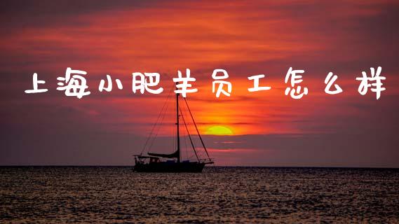 上海小肥羊员工怎么样_https://wap.lcjysmgs.com_元宇宙_第1张