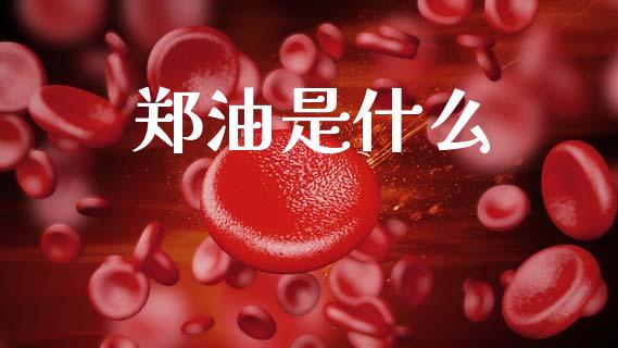 郑油是什么_https://wap.lcjysmgs.com_金融交易_第1张