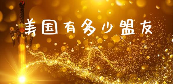 美国有多少盟友_https://wap.lcjysmgs.com_原油期货_第1张