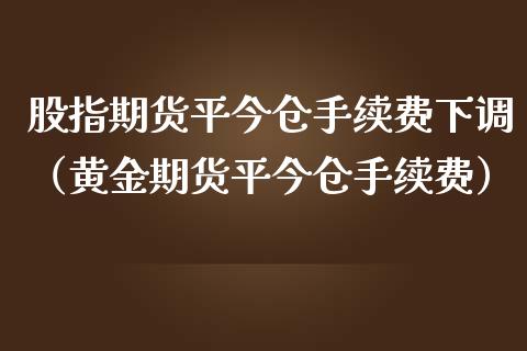 股指期货平今仓手续费下调（黄金期货平今仓手续费）_https://wap.lcjysmgs.com_债券基金_第1张