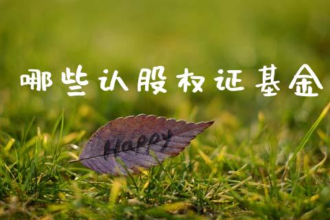 哪些认股权证基金_https://wap.lcjysmgs.com_金融交易_第1张