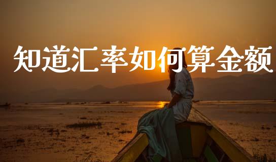 知道汇率如何算金额_https://wap.lcjysmgs.com_原油期货_第1张