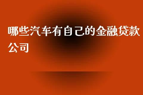 哪些汽车有自己的金融贷款公司_https://wap.lcjysmgs.com_原油期货_第1张