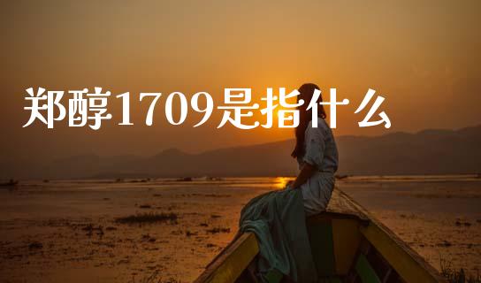 郑醇1709是指什么_https://wap.lcjysmgs.com_元宇宙_第1张