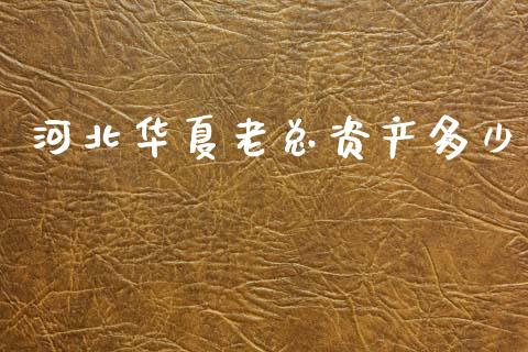 河北华夏老总资产多少_https://wap.lcjysmgs.com_原油期货_第1张