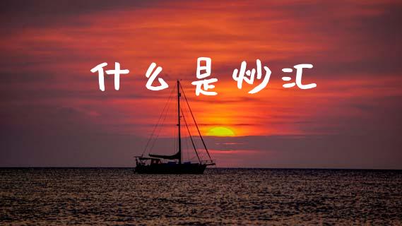 什么是炒汇_https://wap.lcjysmgs.com_元宇宙_第1张