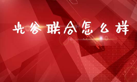 光谷联合怎么样_https://wap.lcjysmgs.com_金融交易_第1张