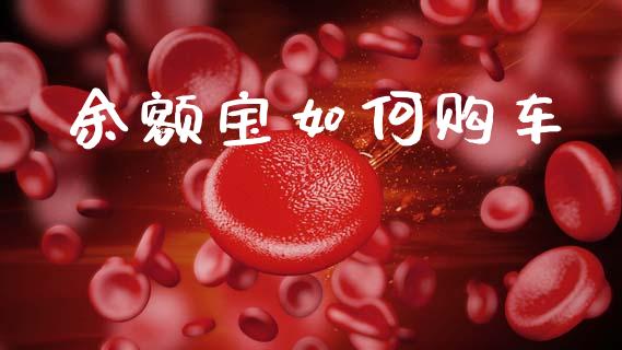 余额宝如何购车_https://wap.lcjysmgs.com_元宇宙_第1张