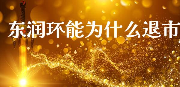 东润环能为什么退市_https://wap.lcjysmgs.com_元宇宙_第1张