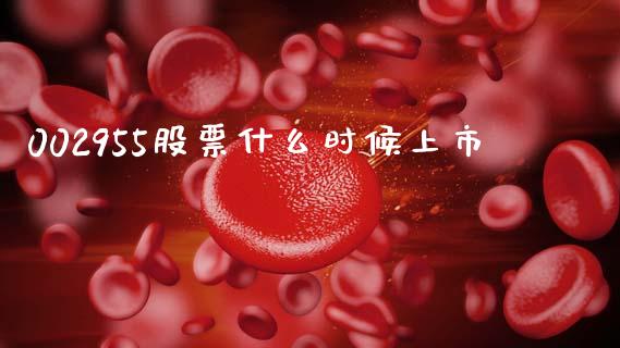 002955股票什么时候上市_https://wap.lcjysmgs.com_元宇宙_第1张