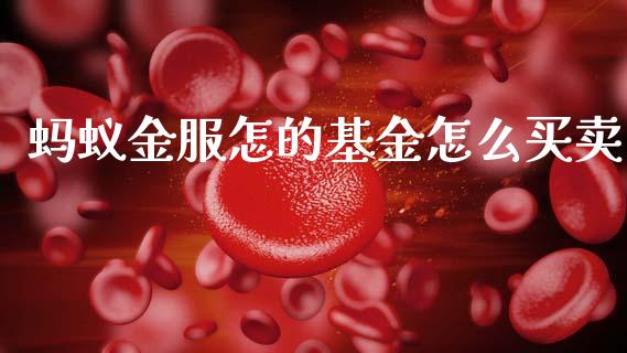 蚂蚁金服怎的基金怎么买卖_https://wap.lcjysmgs.com_原油期货_第1张