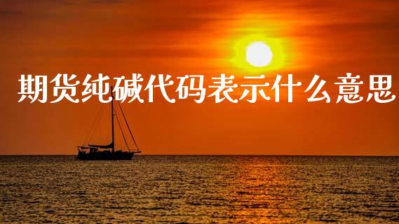 期货纯碱代码表示什么意思_https://wap.lcjysmgs.com_原油期货_第1张