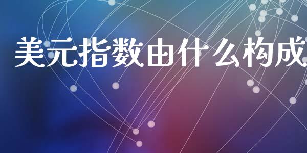 美元指数由什么构成_https://wap.lcjysmgs.com_金融交易_第1张