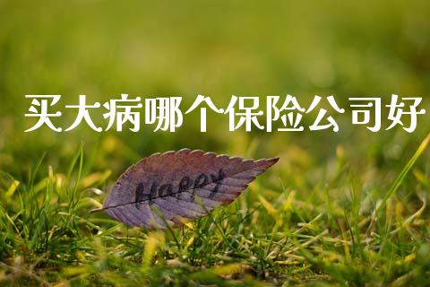 买大病哪个保险公司好_https://wap.lcjysmgs.com_原油期货_第1张