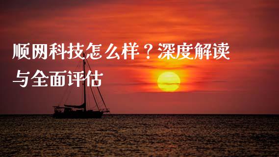 顺网科技怎么样？深度解读与全面评估_https://wap.lcjysmgs.com_债券基金_第1张