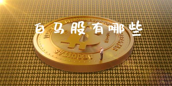 白马股有哪些_https://wap.lcjysmgs.com_元宇宙_第1张