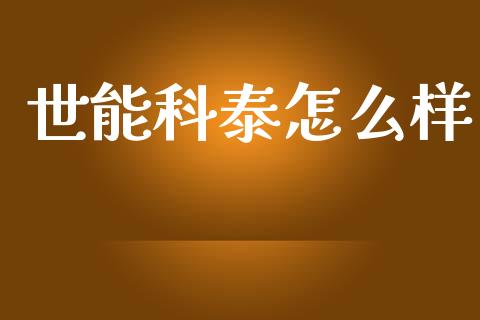 世能科泰怎么样_https://wap.lcjysmgs.com_原油期货_第1张