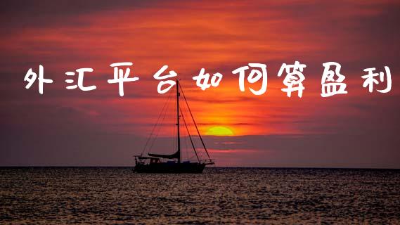 外汇平台如何算盈利_https://wap.lcjysmgs.com_金融交易_第1张