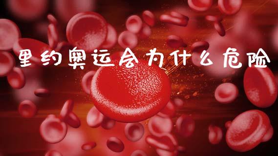 里约奥运会为什么危险_https://wap.lcjysmgs.com_金融交易_第1张