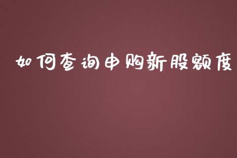 如何查询申购新股额度_https://wap.lcjysmgs.com_债券基金_第1张