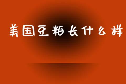 美国豆粕长什么样_https://wap.lcjysmgs.com_元宇宙_第1张