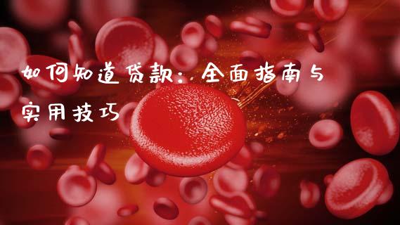 如何知道贷款：全面指南与实用技巧_https://wap.lcjysmgs.com_债券基金_第1张