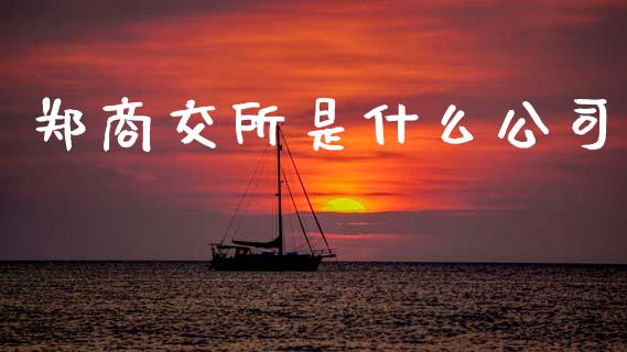 郑商交所是什么公司_https://wap.lcjysmgs.com_原油期货_第1张