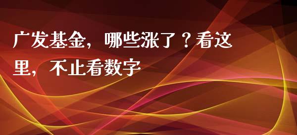广发基金，哪些涨了？看这里，不止看数字_https://wap.lcjysmgs.com_债券基金_第1张