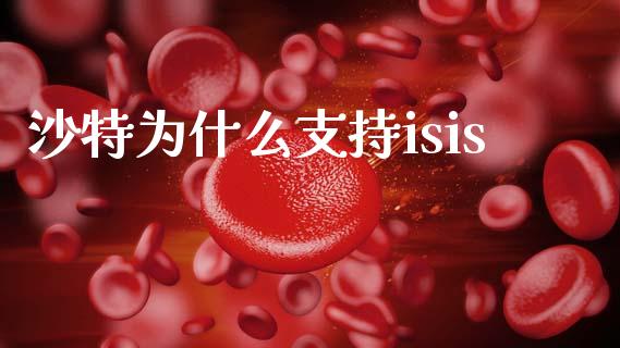 沙特为什么支持isis_https://wap.lcjysmgs.com_债券基金_第1张