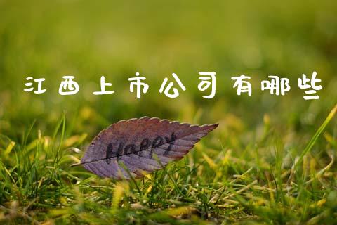 江西上市公司有哪些_https://wap.lcjysmgs.com_金融交易_第1张