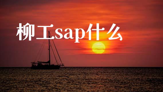 柳工sap什么_https://wap.lcjysmgs.com_元宇宙_第1张