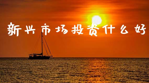 新兴市场投资什么好_https://wap.lcjysmgs.com_债券基金_第1张