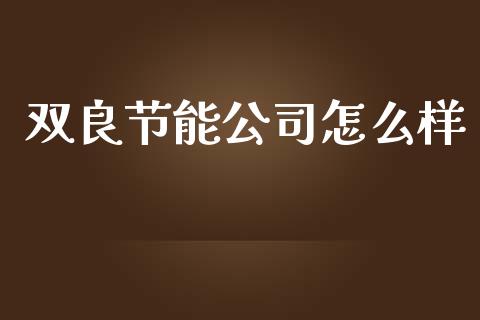 双良节能公司怎么样_https://wap.lcjysmgs.com_金融交易_第1张