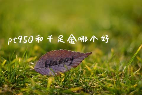 pt950和千足金哪个好_https://wap.lcjysmgs.com_元宇宙_第1张