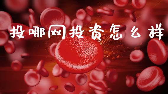 投哪网投资怎么样_https://wap.lcjysmgs.com_金融交易_第1张
