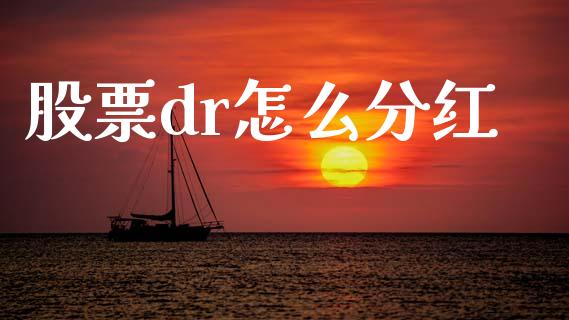 股票dr怎么分红_https://wap.lcjysmgs.com_金融交易_第1张