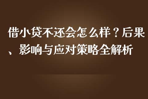 借小贷不还会怎么样？后果、影响与应对策略全解析_https://wap.lcjysmgs.com_元宇宙_第1张
